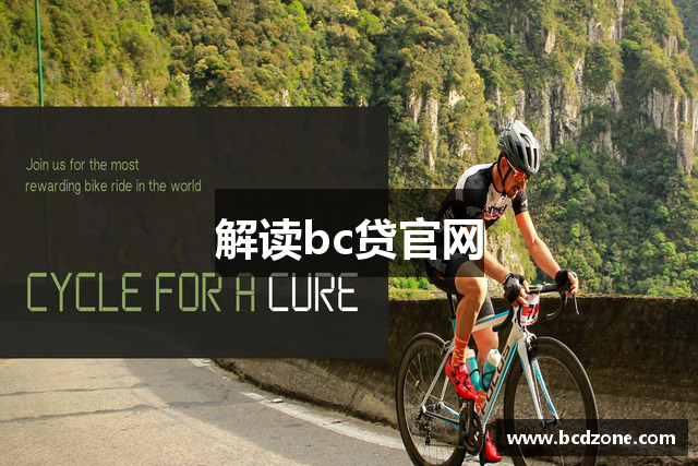解读bc贷官网